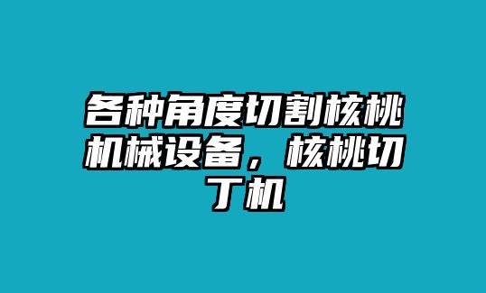 各種角度切割核桃機械設備，核桃切丁機