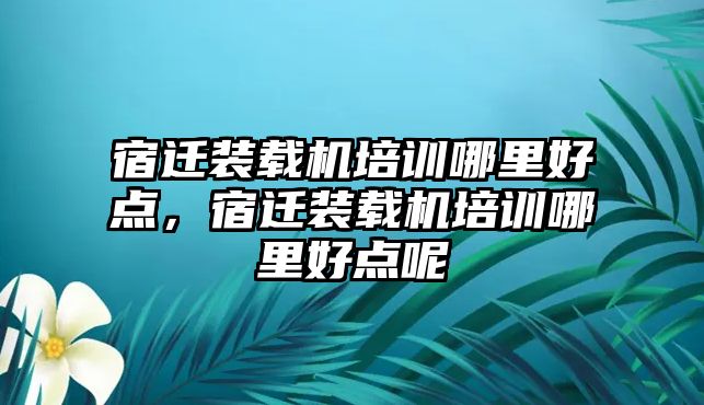宿遷裝載機培訓哪里好點，宿遷裝載機培訓哪里好點呢