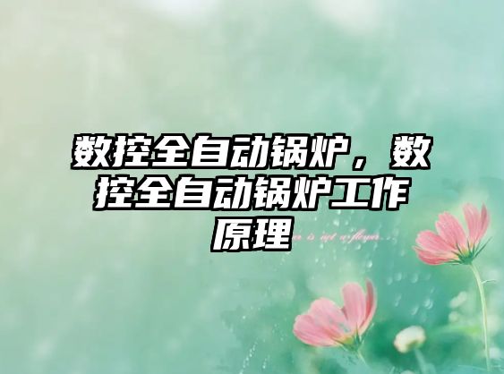 數(shù)控全自動(dòng)鍋爐，數(shù)控全自動(dòng)鍋爐工作原理