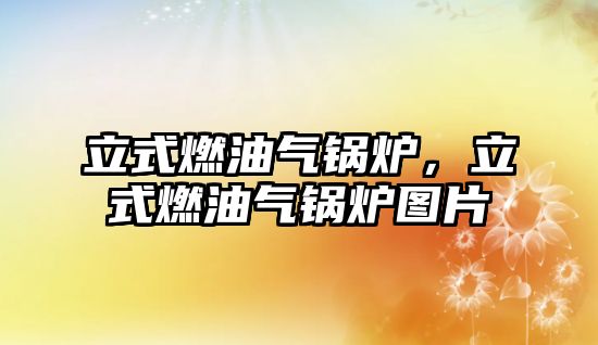 立式燃油氣鍋爐，立式燃油氣鍋爐圖片