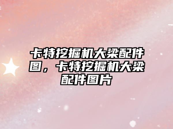 卡特挖掘機(jī)大梁配件圖，卡特挖掘機(jī)大梁配件圖片
