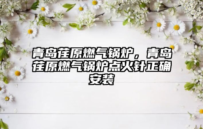 青島荏原燃?xì)忮仩t，青島荏原燃?xì)忮仩t點(diǎn)火針正確安裝