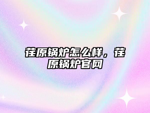 荏原鍋爐怎么樣，荏原鍋爐官網(wǎng)