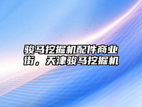 駿馬挖掘機(jī)配件商業(yè)街，天津駿馬挖掘機(jī)