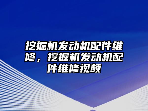挖掘機發(fā)動機配件維修，挖掘機發(fā)動機配件維修視頻