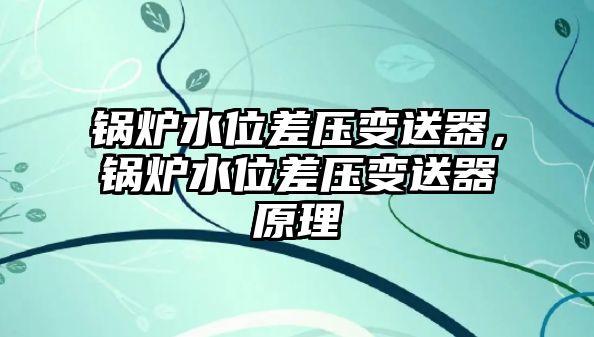 鍋爐水位差壓變送器，鍋爐水位差壓變送器原理