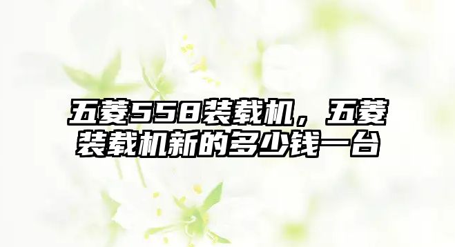五菱558裝載機(jī)，五菱裝載機(jī)新的多少錢一臺(tái)