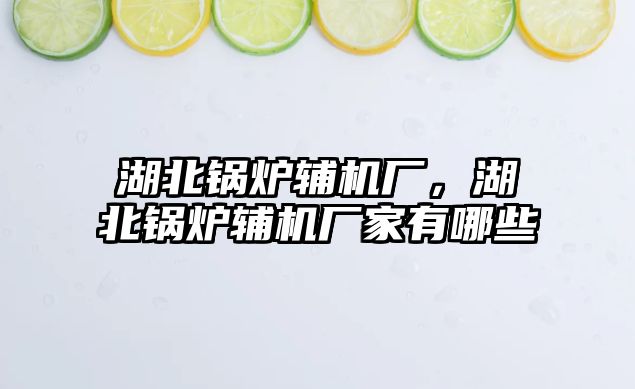 湖北鍋爐輔機(jī)廠，湖北鍋爐輔機(jī)廠家有哪些
