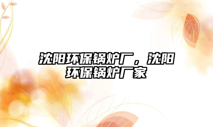 沈陽環(huán)保鍋爐廠，沈陽環(huán)保鍋爐廠家