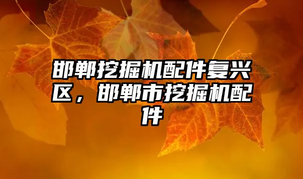 邯鄲挖掘機(jī)配件復(fù)興區(qū)，邯鄲市挖掘機(jī)配件