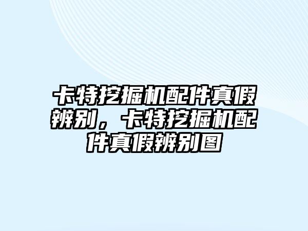 卡特挖掘機(jī)配件真假辨別，卡特挖掘機(jī)配件真假辨別圖