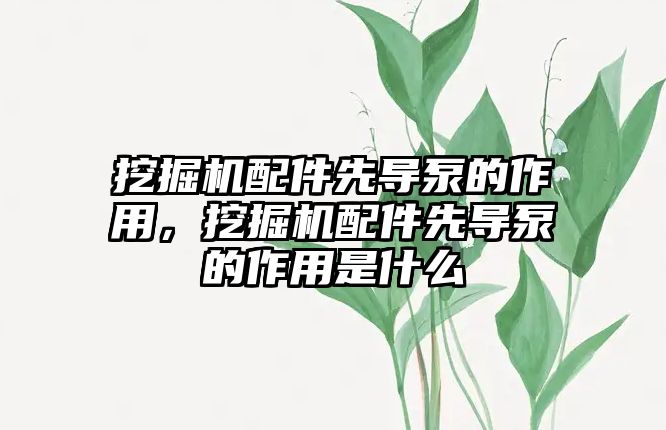 挖掘機(jī)配件先導(dǎo)泵的作用，挖掘機(jī)配件先導(dǎo)泵的作用是什么