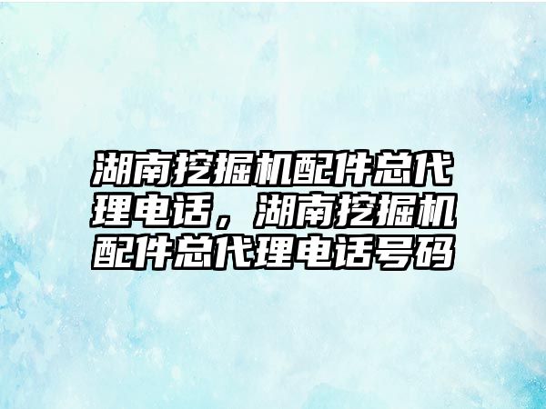 湖南挖掘機配件總代理電話，湖南挖掘機配件總代理電話號碼