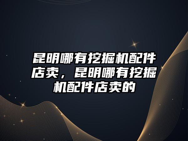 昆明哪有挖掘機配件店賣，昆明哪有挖掘機配件店賣的
