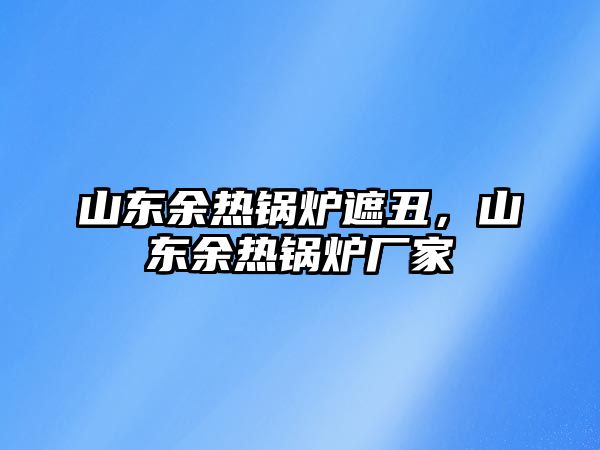 山東余熱鍋爐遮丑，山東余熱鍋爐廠家