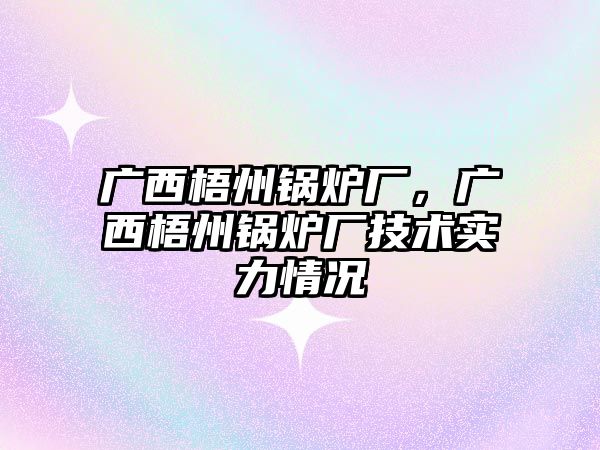 廣西梧州鍋爐廠，廣西梧州鍋爐廠技術實力情況