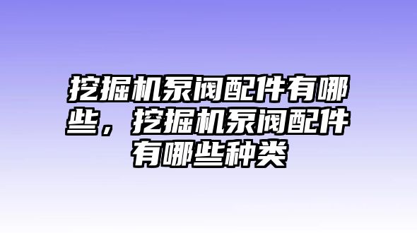 挖掘機(jī)泵閥配件有哪些，挖掘機(jī)泵閥配件有哪些種類