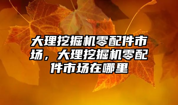 大理挖掘機零配件市場，大理挖掘機零配件市場在哪里