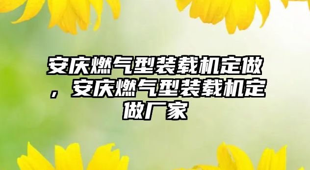 安慶燃?xì)庑脱b載機(jī)定做，安慶燃?xì)庑脱b載機(jī)定做廠家