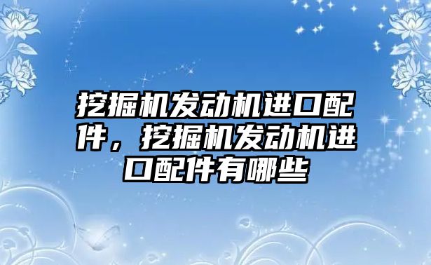挖掘機發(fā)動機進口配件，挖掘機發(fā)動機進口配件有哪些