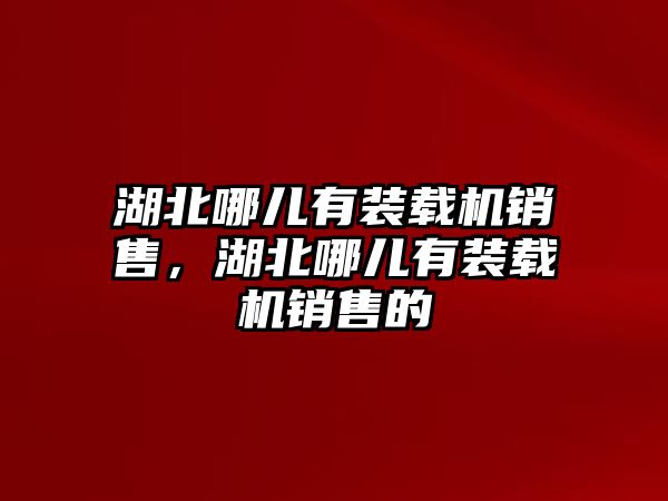 湖北哪兒有裝載機銷售，湖北哪兒有裝載機銷售的