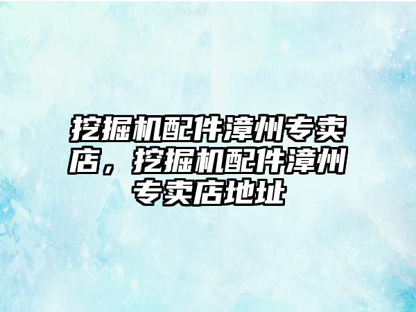 挖掘機(jī)配件漳州專賣(mài)店，挖掘機(jī)配件漳州專賣(mài)店地址