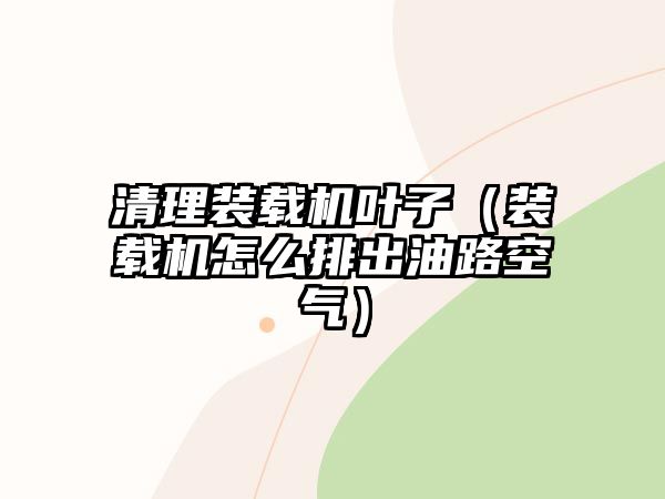 清理裝載機葉子（裝載機怎么排出油路空氣）