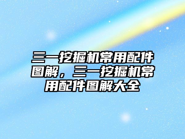 三一挖掘機(jī)常用配件圖解，三一挖掘機(jī)常用配件圖解大全