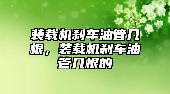 裝載機(jī)剎車油管幾根，裝載機(jī)剎車油管幾根的