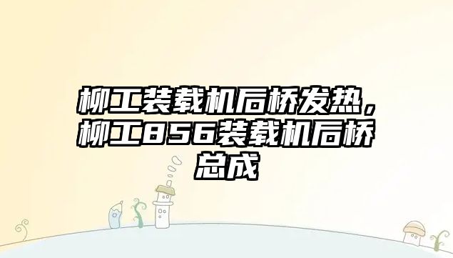 柳工裝載機后橋發(fā)熱，柳工856裝載機后橋總成