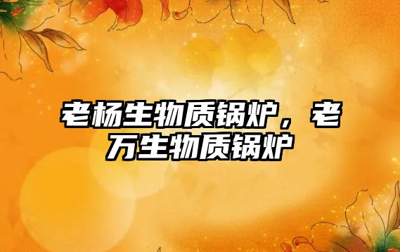 老楊生物質(zhì)鍋爐，老萬生物質(zhì)鍋爐