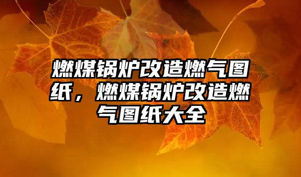燃煤鍋爐改造燃?xì)鈭D紙，燃煤鍋爐改造燃?xì)鈭D紙大全