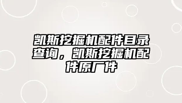 凱斯挖掘機配件目錄查詢，凱斯挖掘機配件原廠件