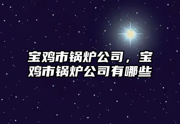 寶雞市鍋爐公司，寶雞市鍋爐公司有哪些