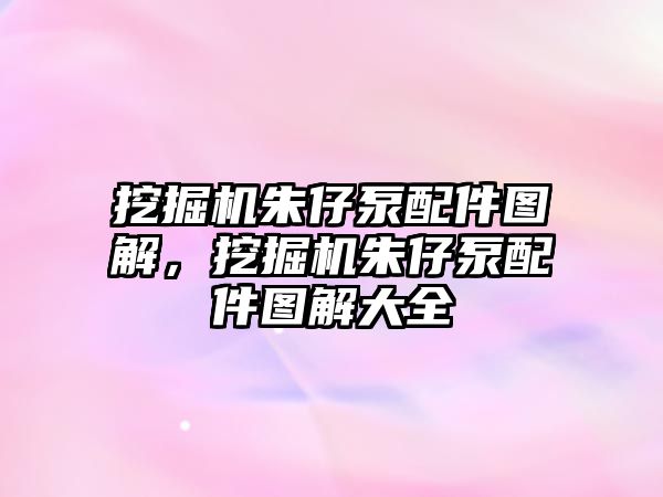 挖掘機朱仔泵配件圖解，挖掘機朱仔泵配件圖解大全