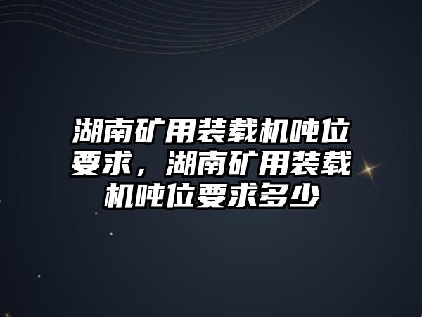 湖南礦用裝載機噸位要求，湖南礦用裝載機噸位要求多少