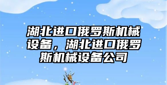 湖北進口俄羅斯機械設備，湖北進口俄羅斯機械設備公司