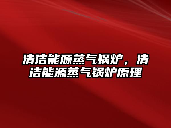 清潔能源蒸氣鍋爐，清潔能源蒸氣鍋爐原理