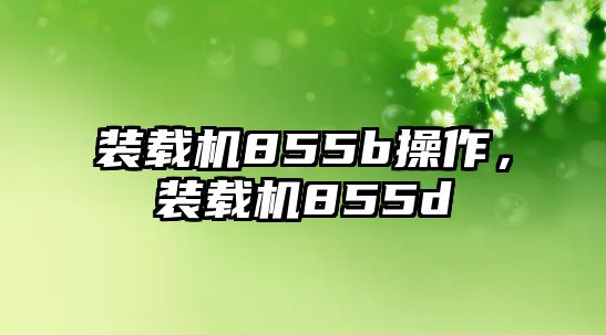 裝載機855b操作，裝載機855d