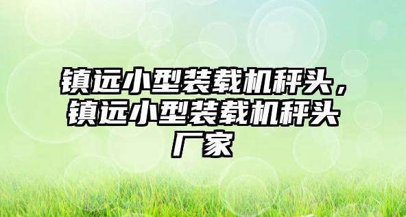 鎮(zhèn)遠小型裝載機秤頭，鎮(zhèn)遠小型裝載機秤頭廠家