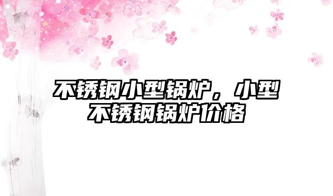 不銹鋼小型鍋爐，小型不銹鋼鍋爐價(jià)格