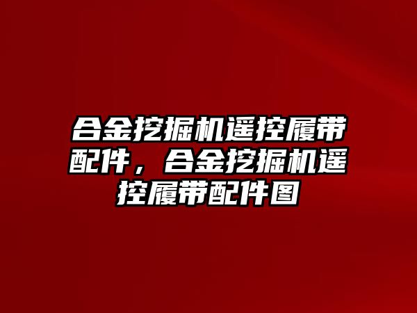合金挖掘機遙控履帶配件，合金挖掘機遙控履帶配件圖