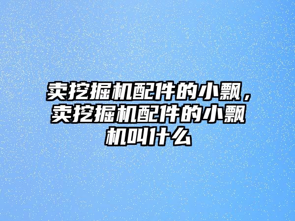 賣挖掘機(jī)配件的小飄，賣挖掘機(jī)配件的小飄機(jī)叫什么
