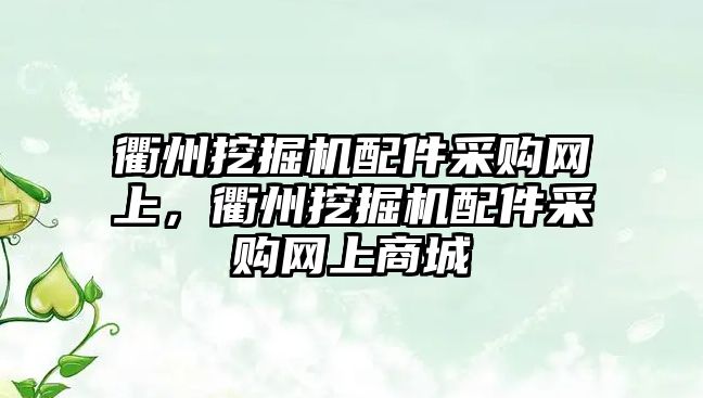 衢州挖掘機(jī)配件采購網(wǎng)上，衢州挖掘機(jī)配件采購網(wǎng)上商城