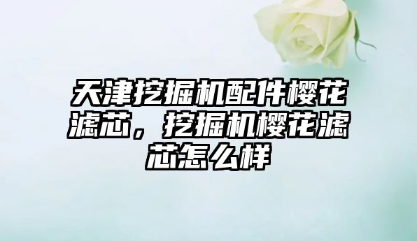 天津挖掘機配件櫻花濾芯，挖掘機櫻花濾芯怎么樣
