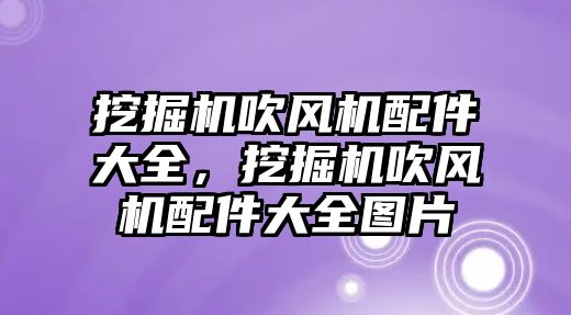 挖掘機(jī)吹風(fēng)機(jī)配件大全，挖掘機(jī)吹風(fēng)機(jī)配件大全圖片