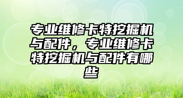 專業(yè)維修卡特挖掘機與配件，專業(yè)維修卡特挖掘機與配件有哪些