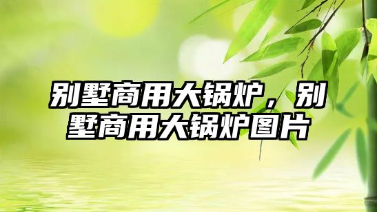 別墅商用大鍋爐，別墅商用大鍋爐圖片