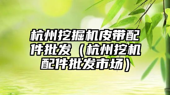 杭州挖掘機(jī)皮帶配件批發(fā)（杭州挖機(jī)配件批發(fā)市場）