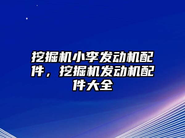 挖掘機(jī)小李發(fā)動(dòng)機(jī)配件，挖掘機(jī)發(fā)動(dòng)機(jī)配件大全